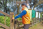 新北5熱門步道　設山區通訊點