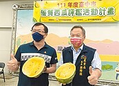 甜度逾13度　中市西瓜首期未受氣候影響