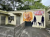 新北市八里動物之家重新粉刷　動保處盼提振領養風氣
