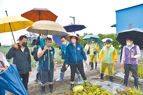 16日彰化縣長王惠美到福興鄉瓜田勘災,看著滿目瘡痍的瓜田替農民感到不捨。(彰化縣政府提供/吳建輝彰化傳真)