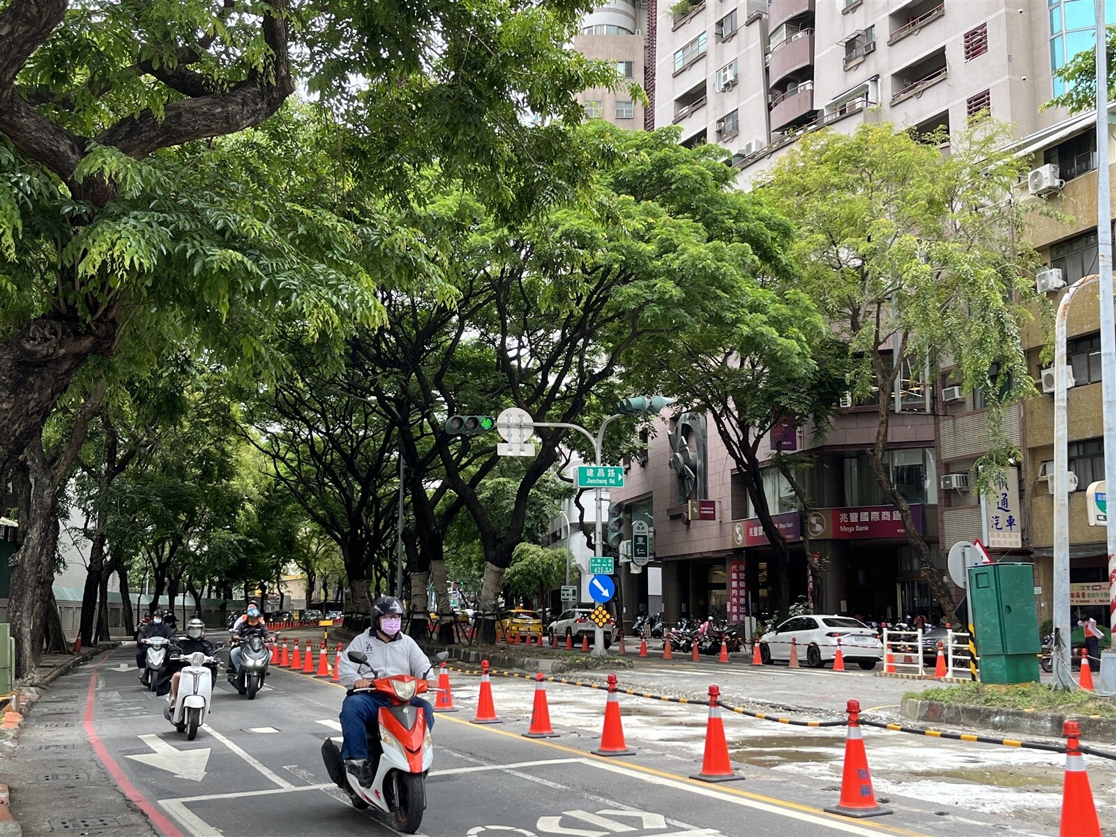 高雄輕軌二階大順路部分路段撤掉圍籬，並鋪上柏油，暫時還路於民，並供車輛通行，預計今年11月過後安排鋪軌工程。記者林巧璉／攝影 