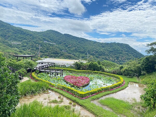 白石湖社區的同心成為地方最熱門的拍照打卡景點。圖／北市府提供