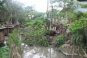 樹林護岸大雨崩落　竟然沒打鋼筋