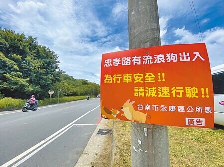 台南市永康區忠孝路的二王公墓，周邊約有上百隻流浪狗流竄，沿途電線桿都高掛警示看板。（曹婷婷攝）