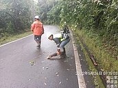 用路人注意　地震+大雨山區路況不穩　南橫明預警封閉