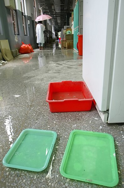 台大土木系名譽教授陳振川說,台大就是公共建築修漏的縮影。圖為二○○八年辛樂克颱風期間,台大校本部一號館漏水。聯合報資料照片