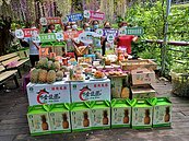 端午連假到休閒農場、田媽媽用餐享折扣　南市府請吃鳳梨