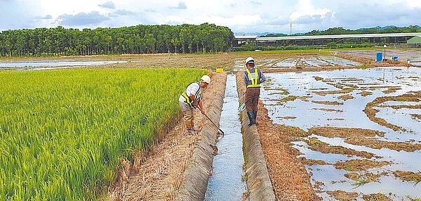 台南市一期稻作順利完成灌溉,6月中陸續展開二期稻作灌溉。(農田水利署嘉南管理處提供/程炳璋台南傳真)