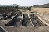 世界最早「古稻田遺址」　距今6700年　浙江現蹤