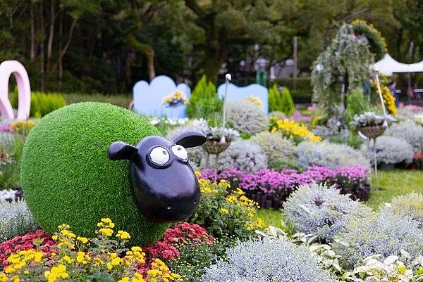 可愛小羊穿梭花叢中。圖/台北市政府提供