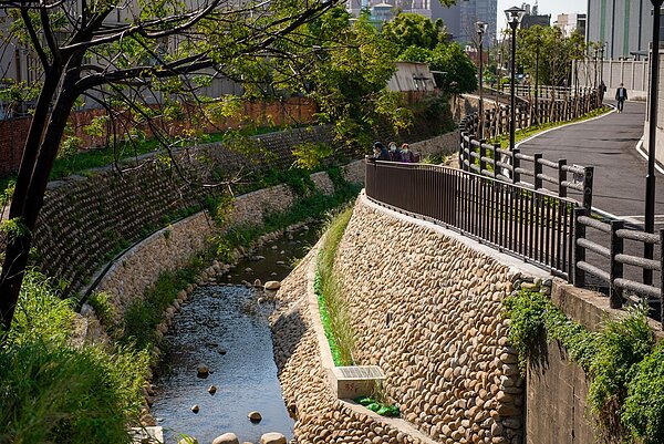 桃園「水汴頭綠水巷」採生態工法恢復生物友善棲地。圖/桃園市政府提供