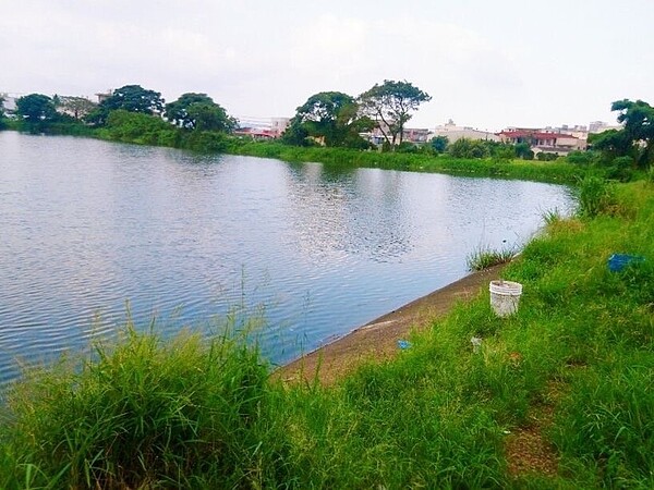 桃園八德農村教育館預計蓋在廣興里「員42B埤塘」,建物加上綠化及停車空間占地約400坪。圖/桃園市農業局提供