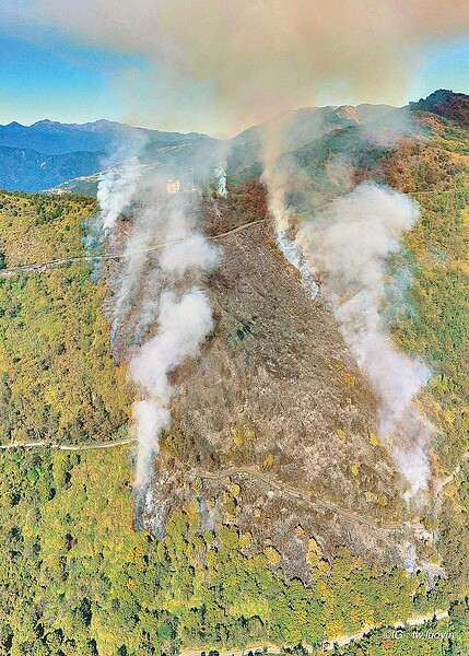 南投縣仁愛鄉合歡山翠峰山區9日中午發生火燒山，連日來無雨加上山區風勢強勁，火勢迅速蔓延，短短時間燃燒面積已超過7公頃，警消獲報抵達現場拉起水線灌救，但起火點在台14甲線19.5K翠峰路段的邊坡上，搶救困難，不得不調派直升機前往搶救。圖／tw.luoyin旅行客影像工作室提供