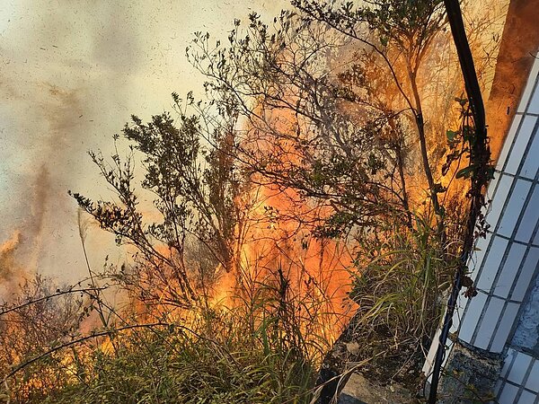 南投縣台14甲線合歡山翠峰路段20.6公里處邊坡大火,警消不排除有人為的因素。圖/讀者提供