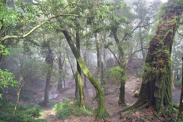 屏東縣泰武鄉的北大武山海拔3092公尺，是台灣五嶽之一，排灣族視為聖山。圖／葉姓山友提供