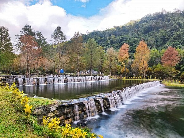 宜蘭爆紅新景點大礁溪「三層坪」農塘，層層堆疊的潺潺流水與落羽松，美景讓人驚豔，連日來吸引大批遊客。圖／讀者提供