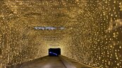 台東「最美涵洞」變「黃金隧道」　遊客：美爆了