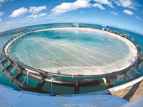 國立台灣海洋大學舉辦智慧箱網養殖應用技術論壇,展示2年來農委會努力成果。圖/海洋大學提供