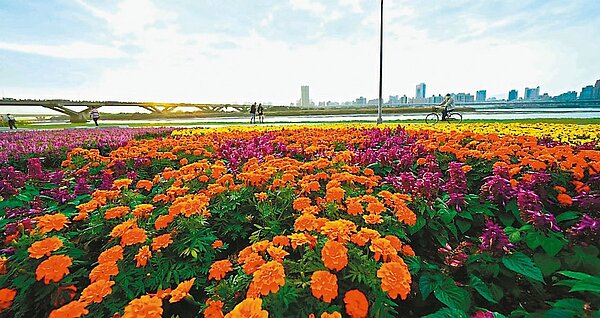 這次延平河濱花海以大稻埕情人節煙火為構想,除利用當季草花鋪排如煙火造型,搭配粉紫色系草花為背景,將煙火造型襯托得更顯絢爛耀眼。圖/北市工務局水利處提供