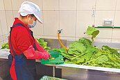 桃園偏鄉5校設中央廚房　拚明年上線