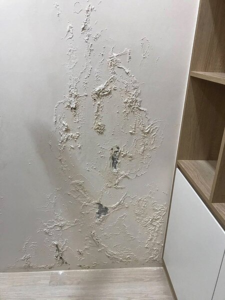 桃園市羅姓市民投訴購買預售屋交屋裝潢漏水，與建商協商無結果，向消保官申訴求助。圖／ 羅姓市民提供