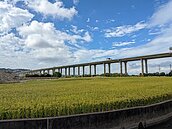 台中市有耕地租金1月開徵　課徵標準維持不變