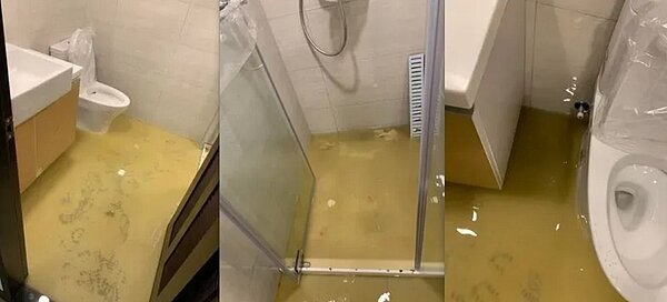 看到還沒入住的新家變成黃金屋，原PO相當無奈。圖／擷取自《爆料公社》