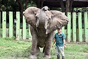 高雄動物園改建　台電、中油、中鋼各出8千萬遭質疑