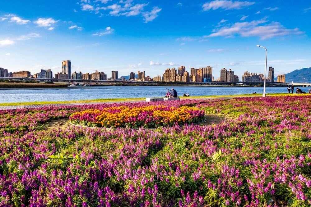 跨年假期賞花衝一波,北市絕美花海大推薦。圖/北市府提供