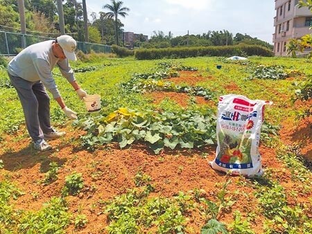 桃園市政府從2018年起推動農民職業災害保險，補助農民一半保費，農民每年只要自付90元就能享有保障。（蔡依珍攝）