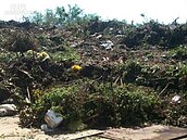 颱風過後垃圾多兩成　環保人員勞苦功高