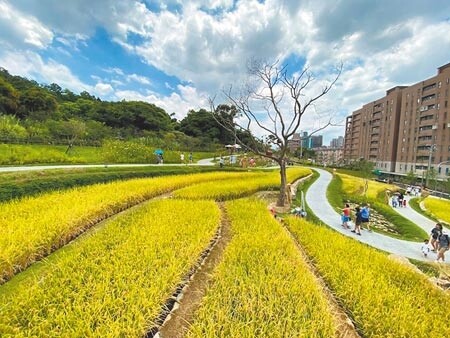 桃園市大有梯田生態公園榮獲2021國家卓越建設獎最佳施工品質類特別獎。（蔡依珍攝）