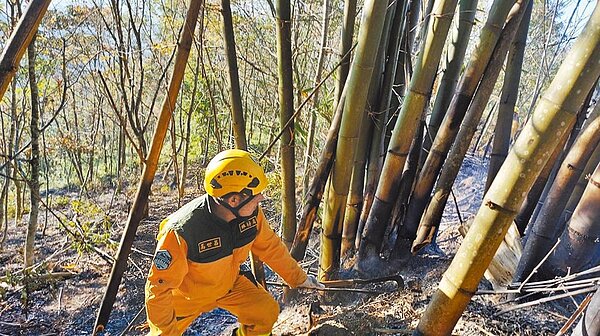 南投埔里鎮蜈蚣崙3日中午發生森林火災(見圖),罪魁禍首竟是台灣獼猴。牠誤觸高壓電纜,產生火花致山林失火,自己也被電暈,過了一會才醒過來,之後逃離現場,卻忙翻了林管處與消防人員。(南投林區管理處提供/廖志晃南投傳真)