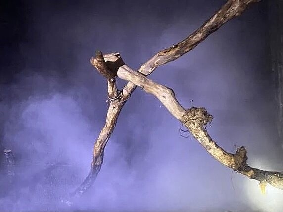 北埔綠世界暗夜大火燒死蜥蜴,起火原因還有待釐清。圖/記者巫鴻瑋翻攝