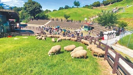 南投的旅遊業者真的笑不出來,以為跨過2022年後將迎來全新的局面,沒想到好不容易才趨緩的疫情,如今又爆發桃機群聚感染。(本報資料照片)