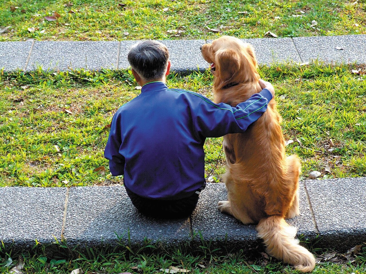 未來台北恐將是老化最快的直轄市。報系資料照