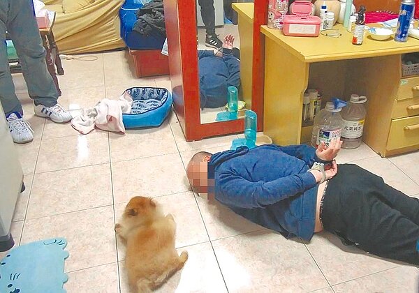 台中警方抓宋姓毒梟,大喊「趴下」,一旁狗兒子「乖乖」見狀,立即貼在地上不敢動,彷彿跟著主人一起投降。圖/台中市警察局提供