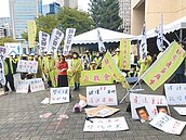 台北社子島環評過關　自救會：有瑕疵將提訴願