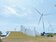 低價風電　展現競爭力