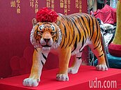 虎年危險時段、輕鬆改運方法　民俗專家提建議