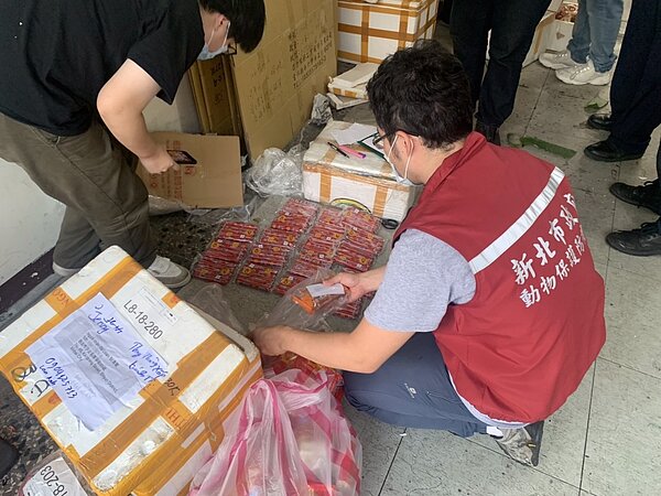 聯合稽查小組於去年在市面店家大規模查核。圖/新北市府提供