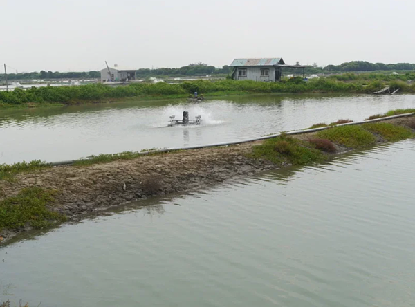 北高雄沿海不少養殖魚塭,部分廢棄魚塭鹽分過高,無法回復農地使用,用途受限。本報資料照片