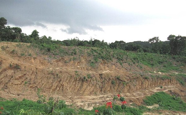 清除雜草開闢施工便道,應先申請水保書件。圖/台南市水利局提供