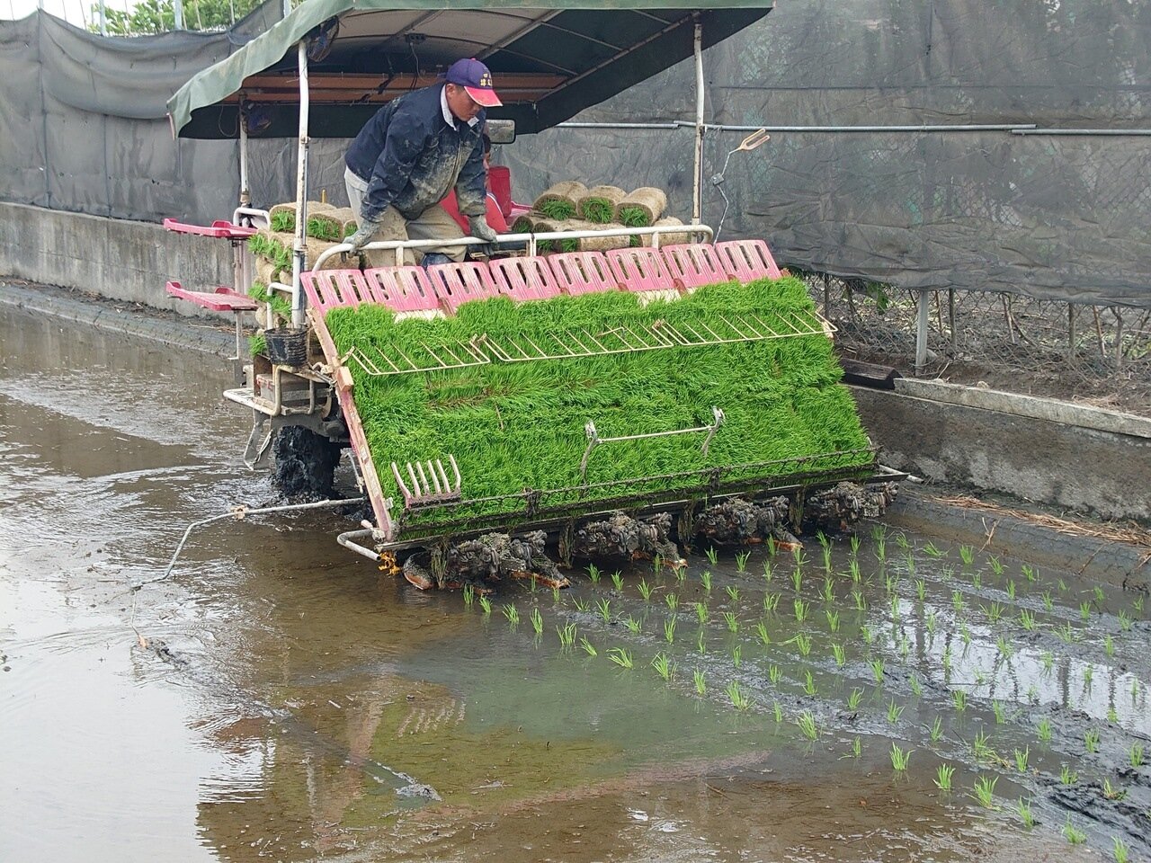 南彰化鄉鎮開始春耕,代耕費用上漲一成。記者簡慧珍/攝影