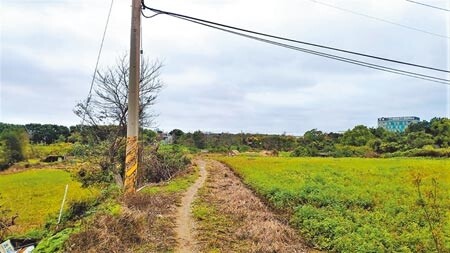 台灣陶文化協會認為竹南鎮山佳遺址仍有許多陶、石器史前遺物待挖掘，應該列為文資保護。（李京昇攝）