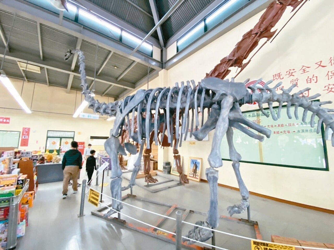 「日光石頭博物館」目前租用嘉義縣水上鄉台糖南靖糖廠賣場展出,展期到2月底將熄燈。圖為館藏恐龍化石。記者魯永明/攝影