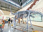 老收藏家悲歌　陳仁德石頭館月底熄燈