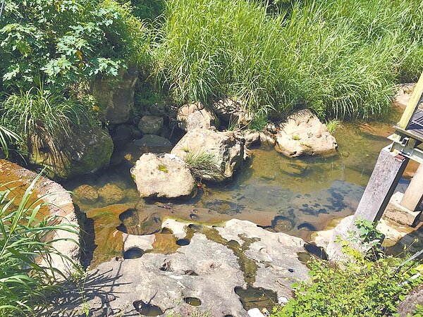 新北市土城區公所今年預計向內政部提出「龍泉溪藍帶周邊環境創生營造」計畫，爭取1000萬經費，打造龍泉溪親水自然空間。（土城區公所提供／蔡雯如新北傳真）