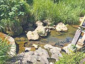 土城龍泉溪創生營造　公所擬爭取千萬改造