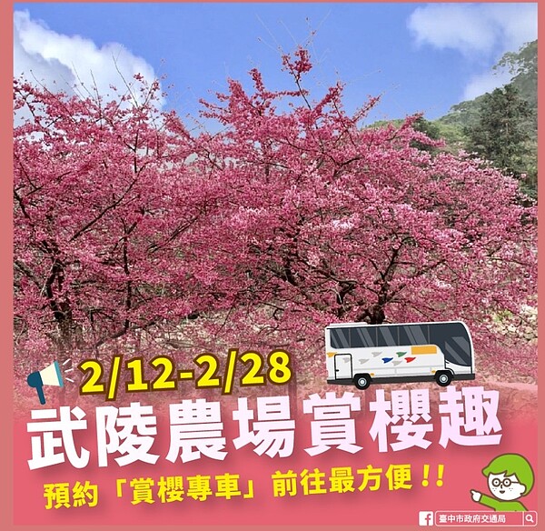 今年度武陵櫻花季今（12）日盛大登場，活動期間有車輛管制，除已獲武陵農場核發通行證者，其餘車輛一律禁止進入武陵農場。圖／中市府提供